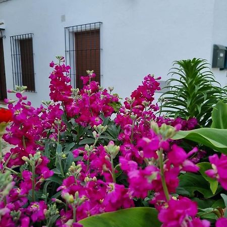 Casa Francisca En El Casco Antiguo Villa Vejer de la Frontera Exterior foto