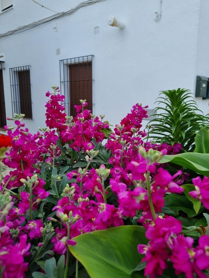 Casa Francisca En El Casco Antiguo Villa Vejer de la Frontera Exterior foto